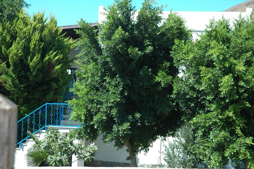 Hotel apartamentowy Alfa Bodrum
