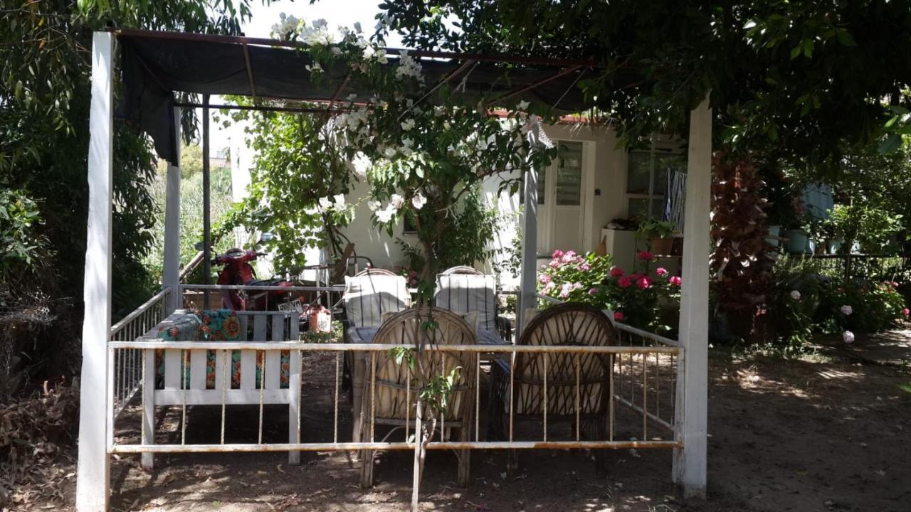 Hotel apartamentowy Alfa 3*