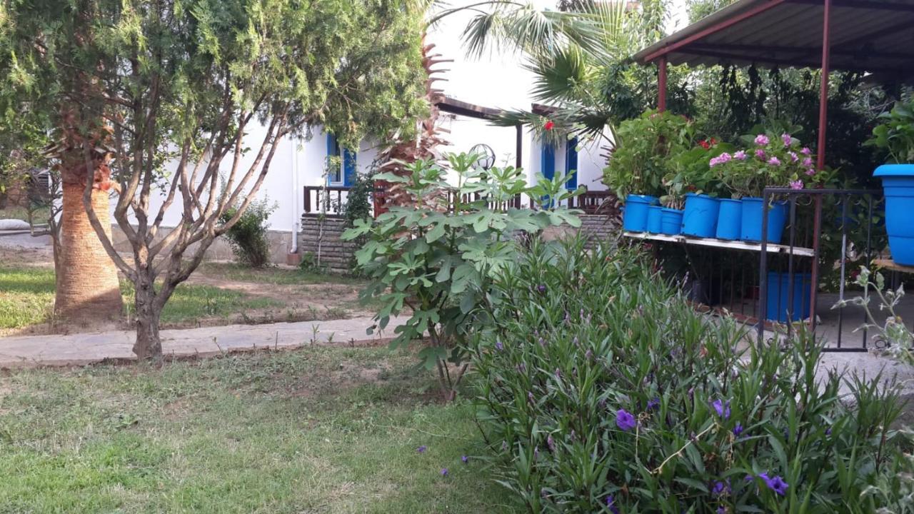 Alfa Hotel apartamentowy