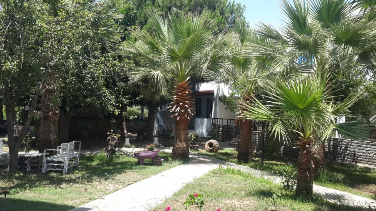 Hotel apartamentowy Alfa Bodrum