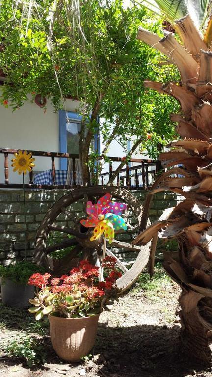 Appart hôtel Alfa